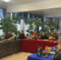 В Новолакском районе отметили День матери - Новолакский район